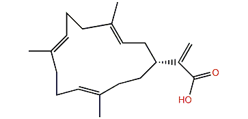 Sinularic acid A